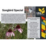Songbird Special Kit 